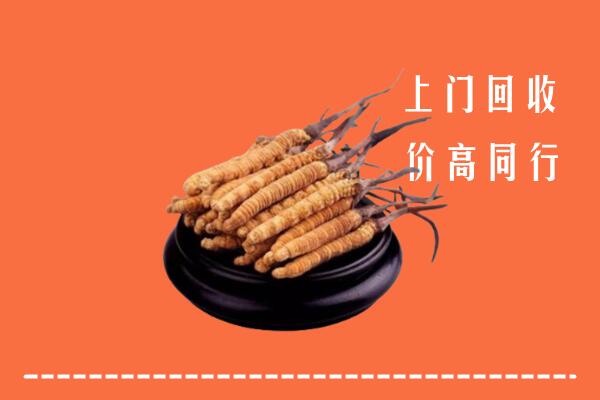 高价求购：文山州麻栗坡回收散虫草