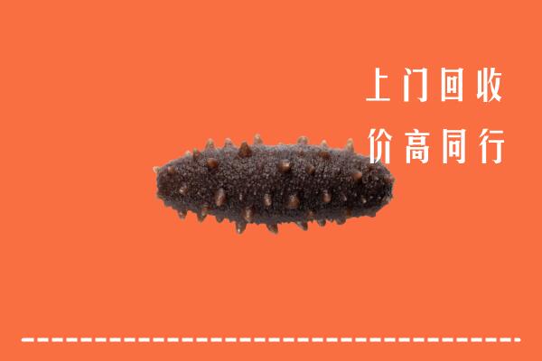高价求购：文山州麻栗坡回收海参